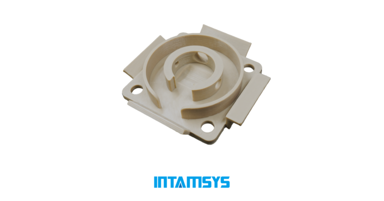 INTAMSYS 3D Printing Service